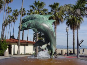 Santa Barbara Dolphins